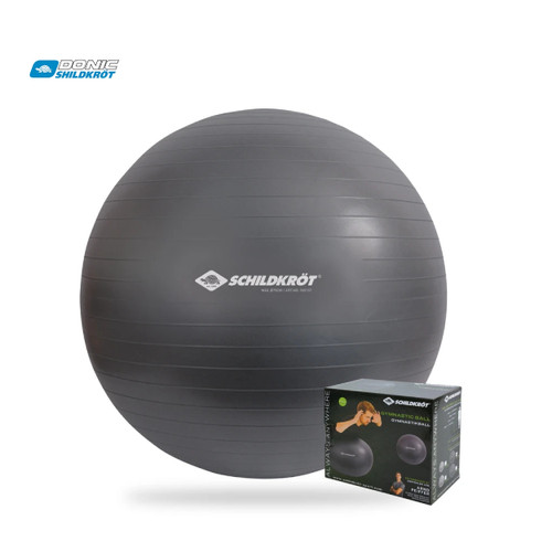توپ جیم بال برند شیلدکروت SCHILDKROT GYM BALL